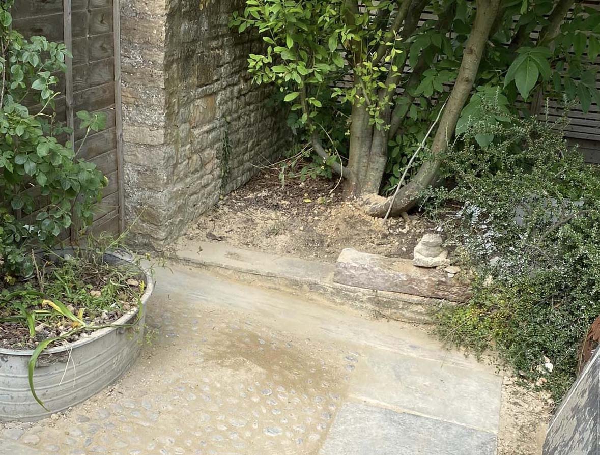 Garden after