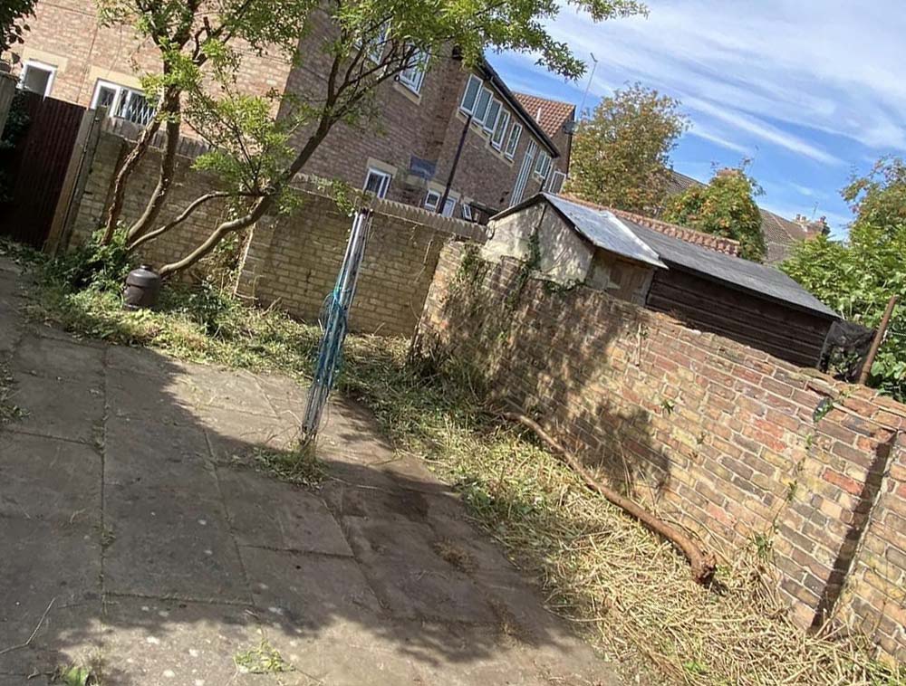 back garden after